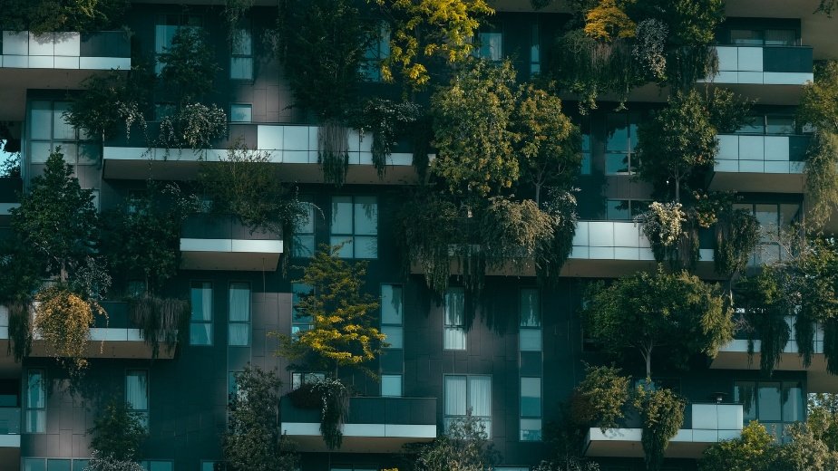 La piel del edificio: arquitectura bioclimática, confort térmico y sostenibilidad urbana
